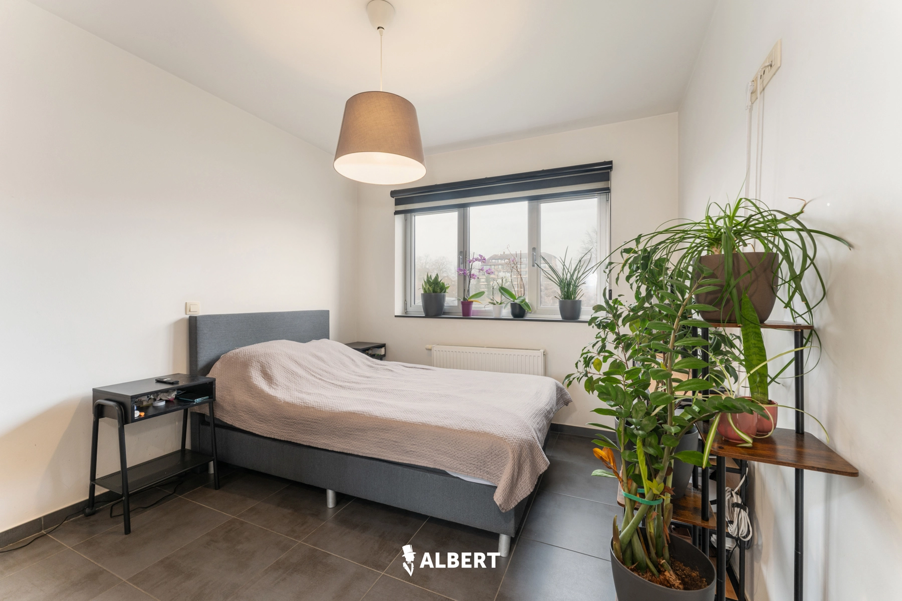 4b76c76e4acd4c939ecf18c12bc020d7 photo