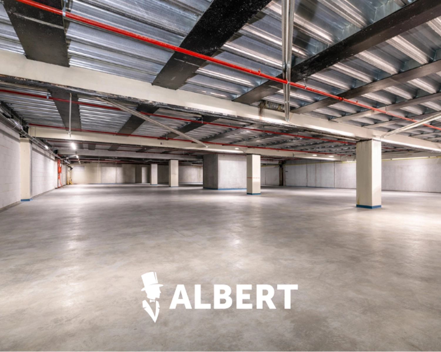 21f1cd4a008440a78081c5d7867736d7 photo