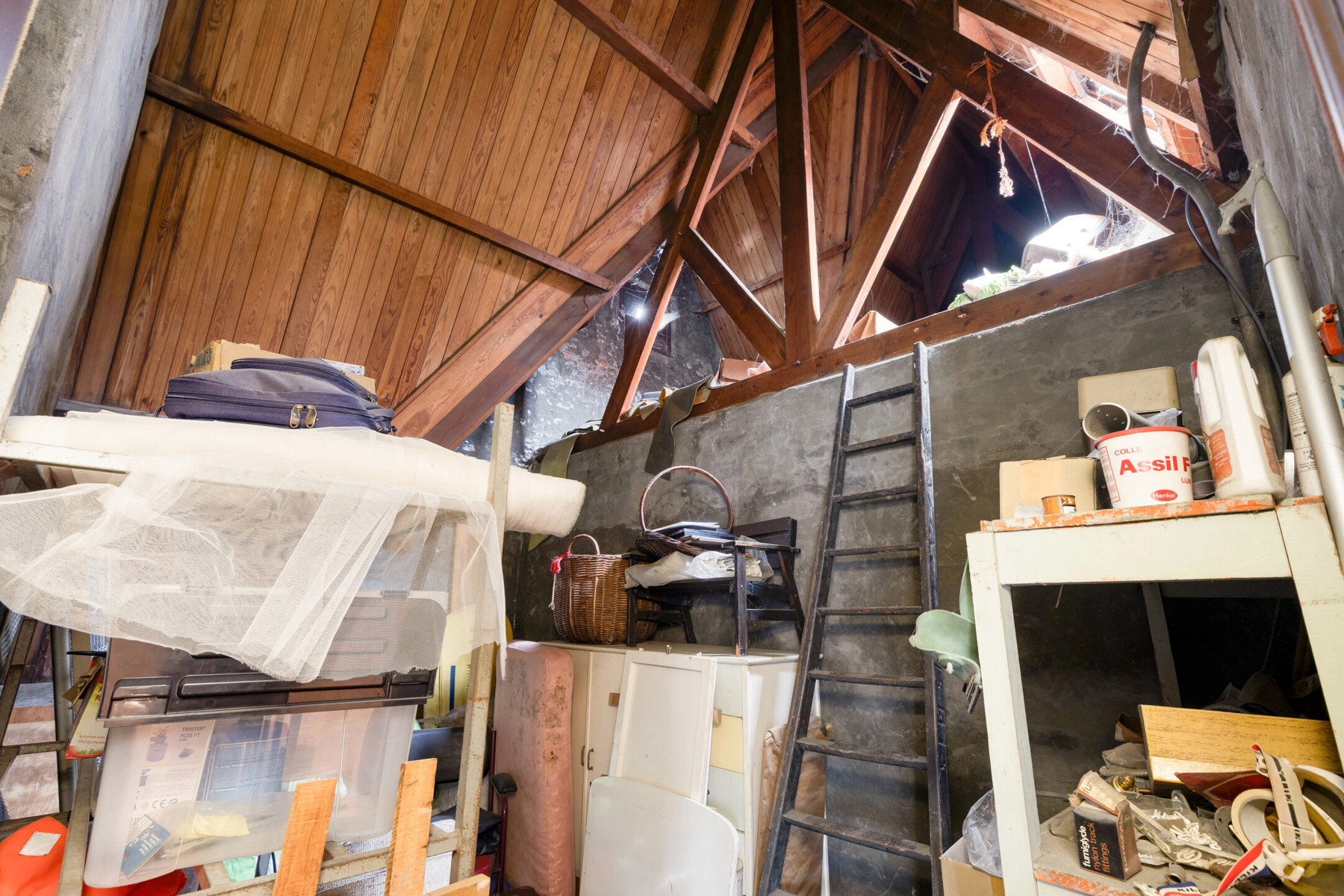 2220c0d20bee45e6a58455d36d6dbad0 photo