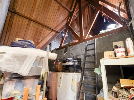 2220c0d20bee45e6a58455d36d6dbad0 thumbnail