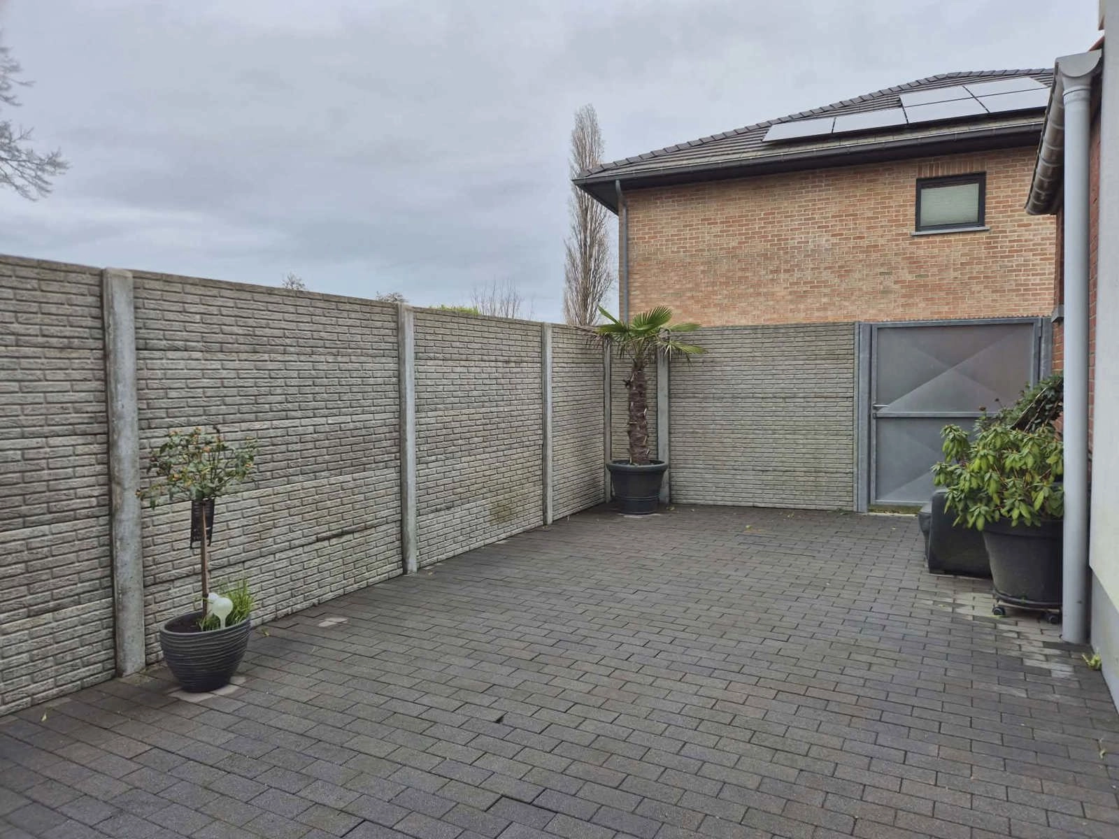 00310c24768f4e89a205b72c2ffd3138 photo