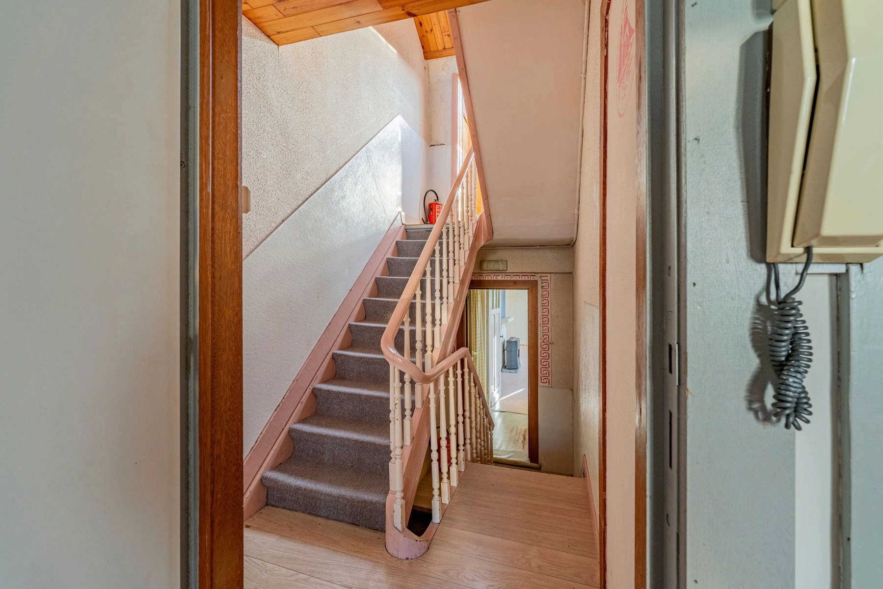 3701134bc4d6465ebd275b74e48a456c photo