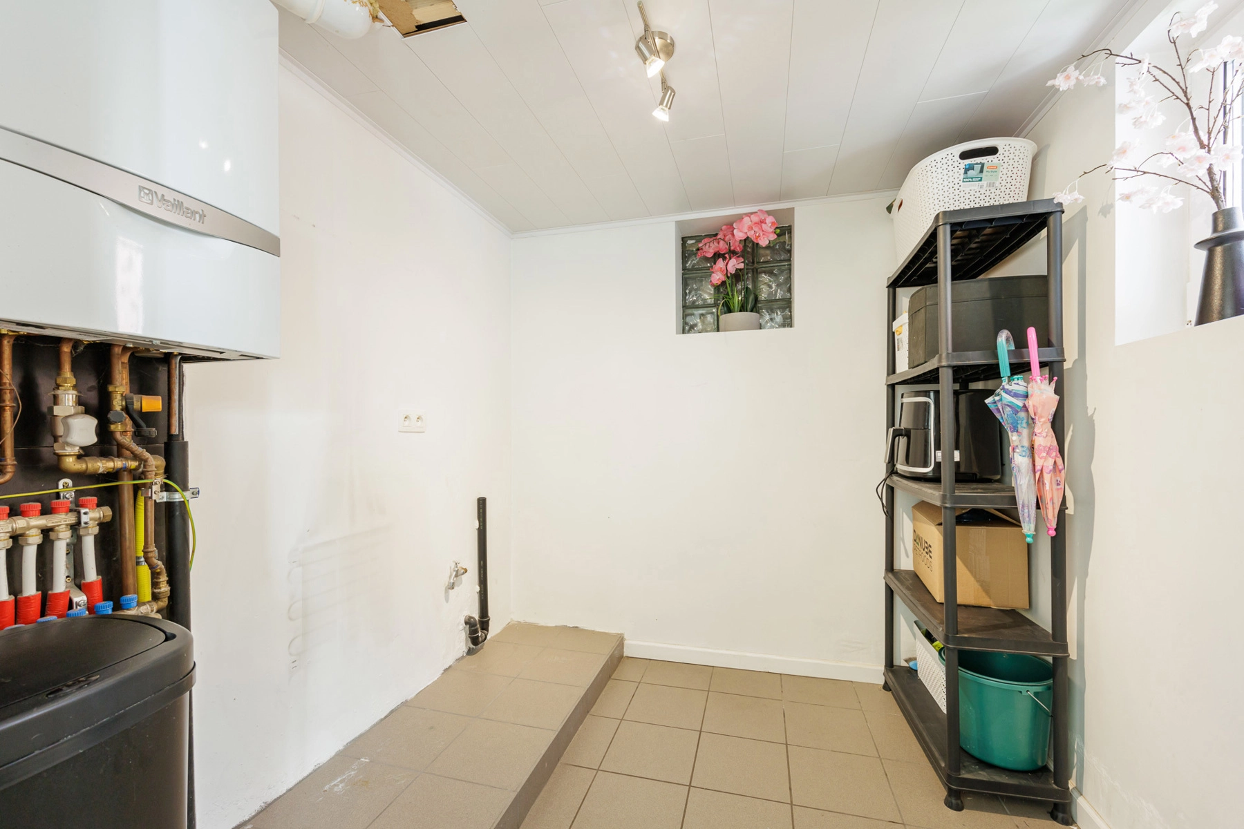 1e93f81ba2ba46d8a10ca8133b07c8ce photo