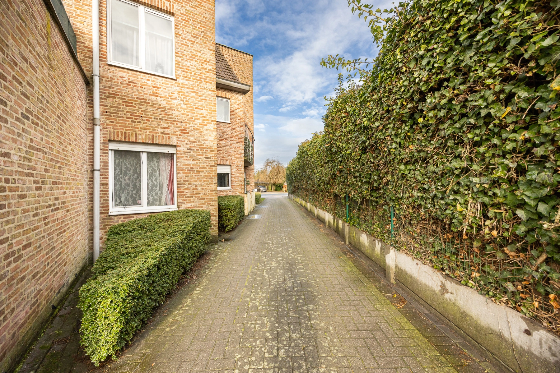 69f340c7f3344dd09567d604f18a96dd photo