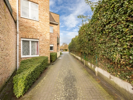 69f340c7f3344dd09567d604f18a96dd thumbnail