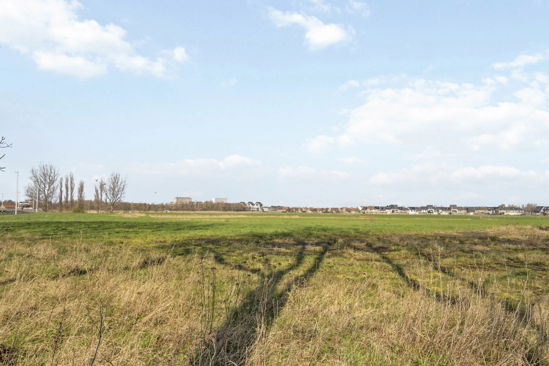 c5ddc1dabe824cd1975599647a87369a photo