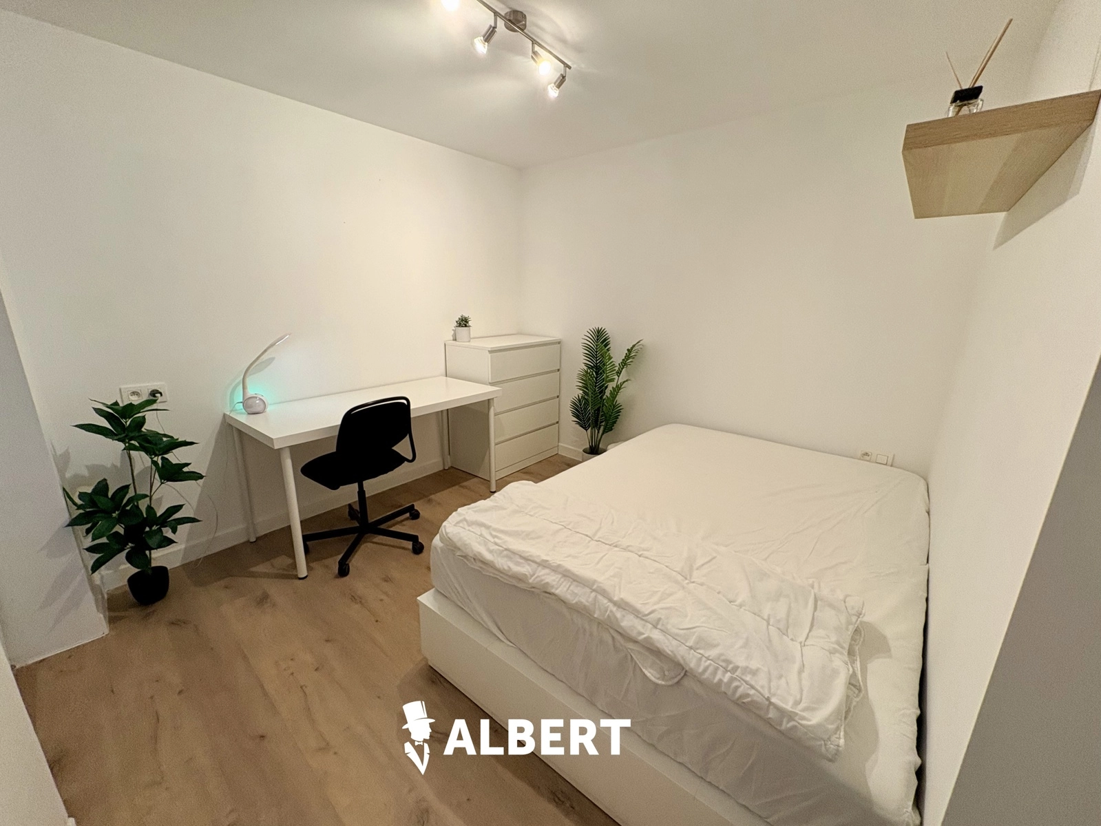 2b7bf912c9d544b1af0557022cc07dc7 photo