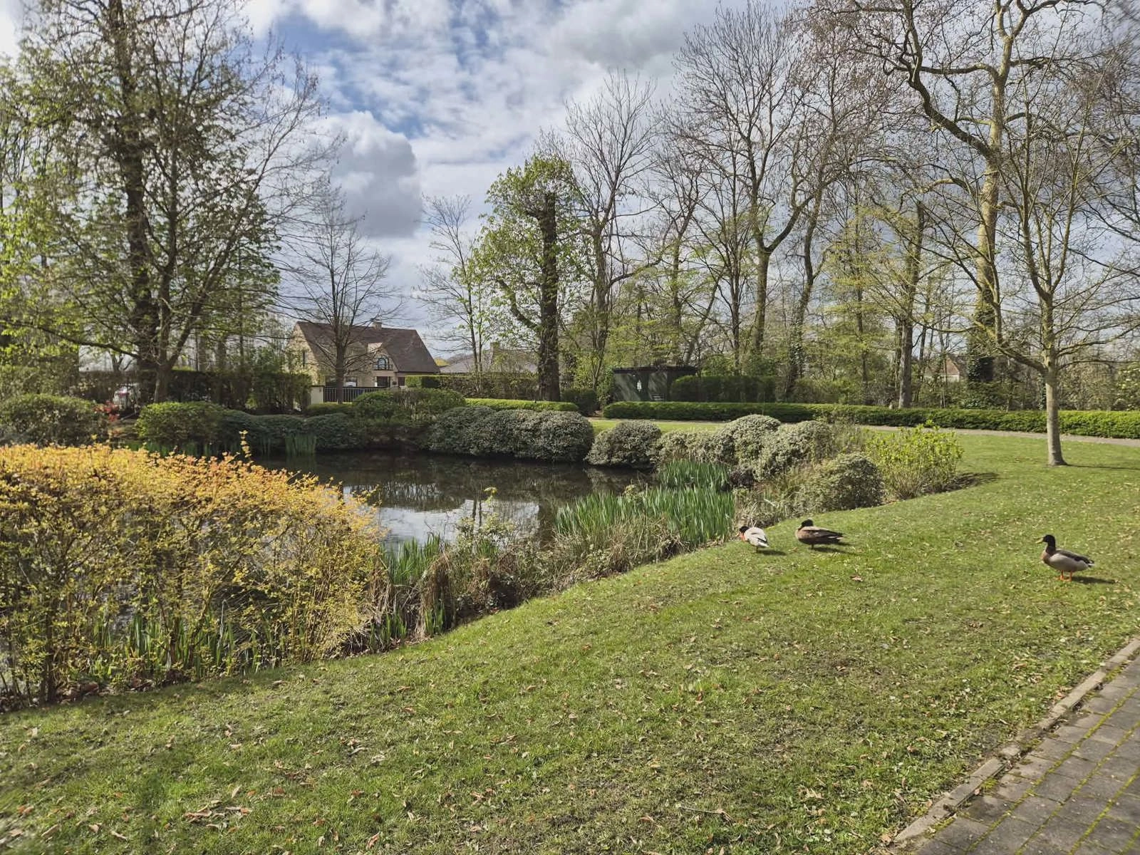 9446c04a747f4e669f3933ca39c010e6 photo