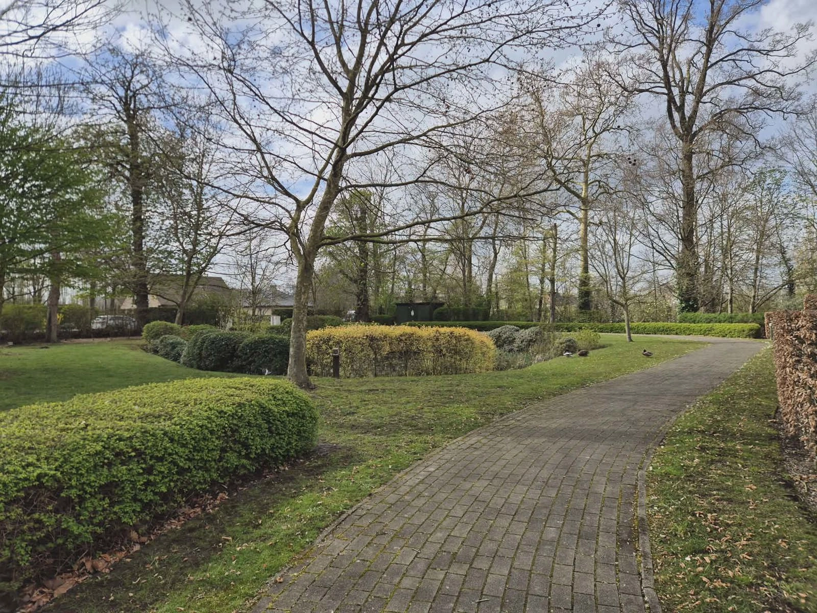 f31d65cca30c4c288ce6a018d19eda81 photo