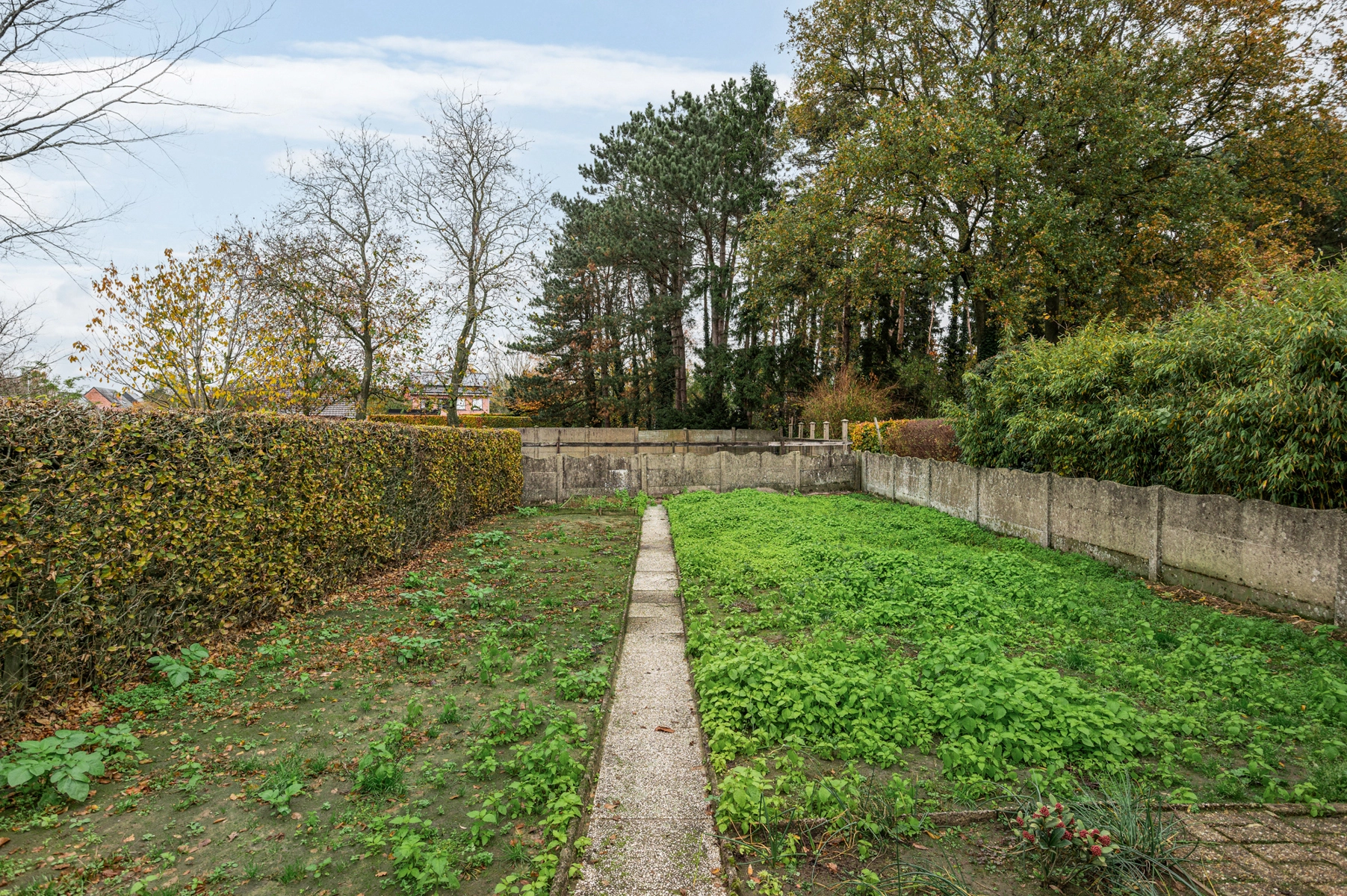 11e1fc12652943cc9a4bb5cf5a33fe2b photo