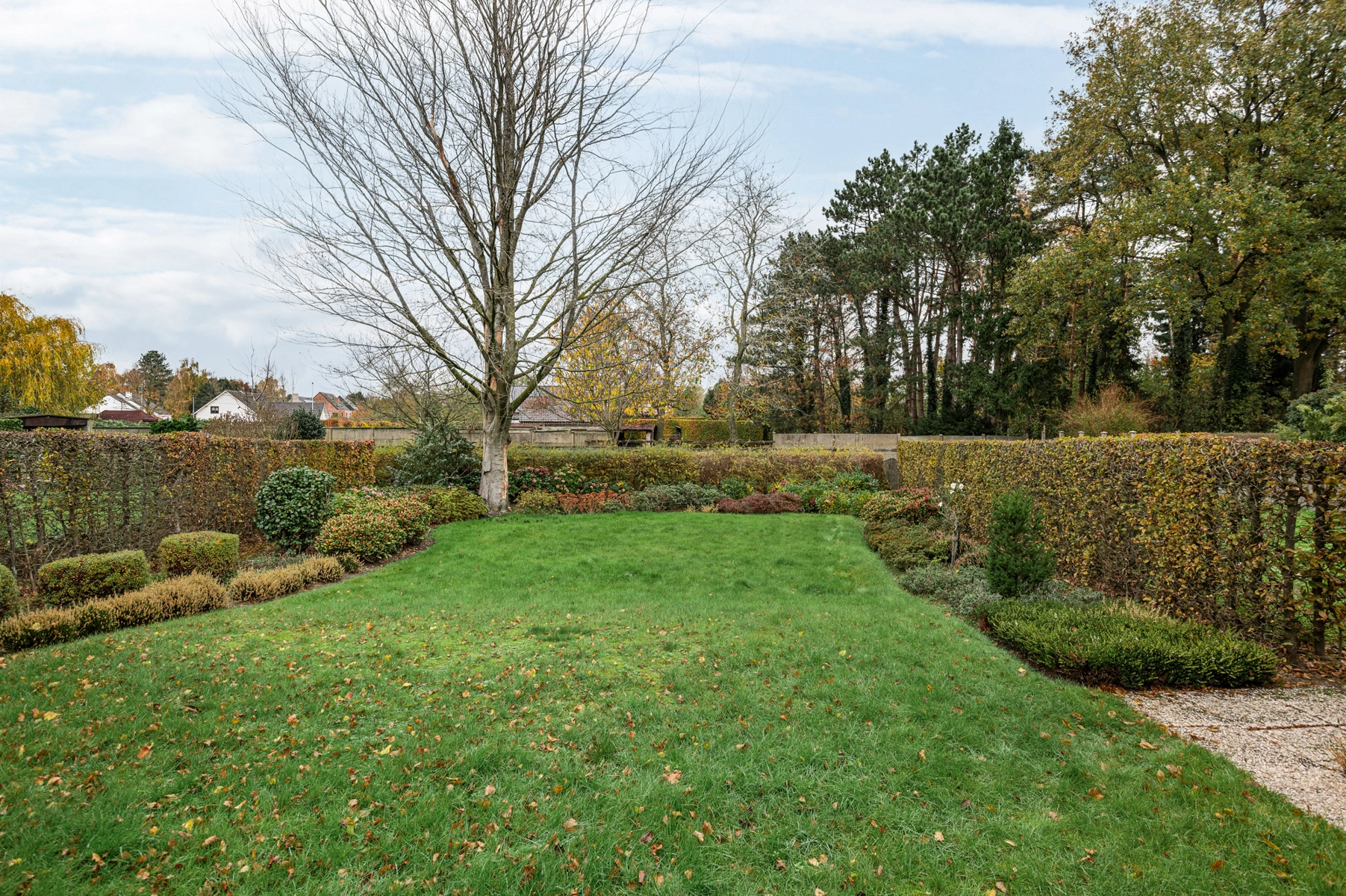 49026f57b39a4e64aad5a15a491464c4 photo