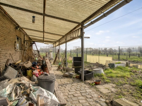 bad66ed30e2245b2aa34f51ed02470a9 thumbnail