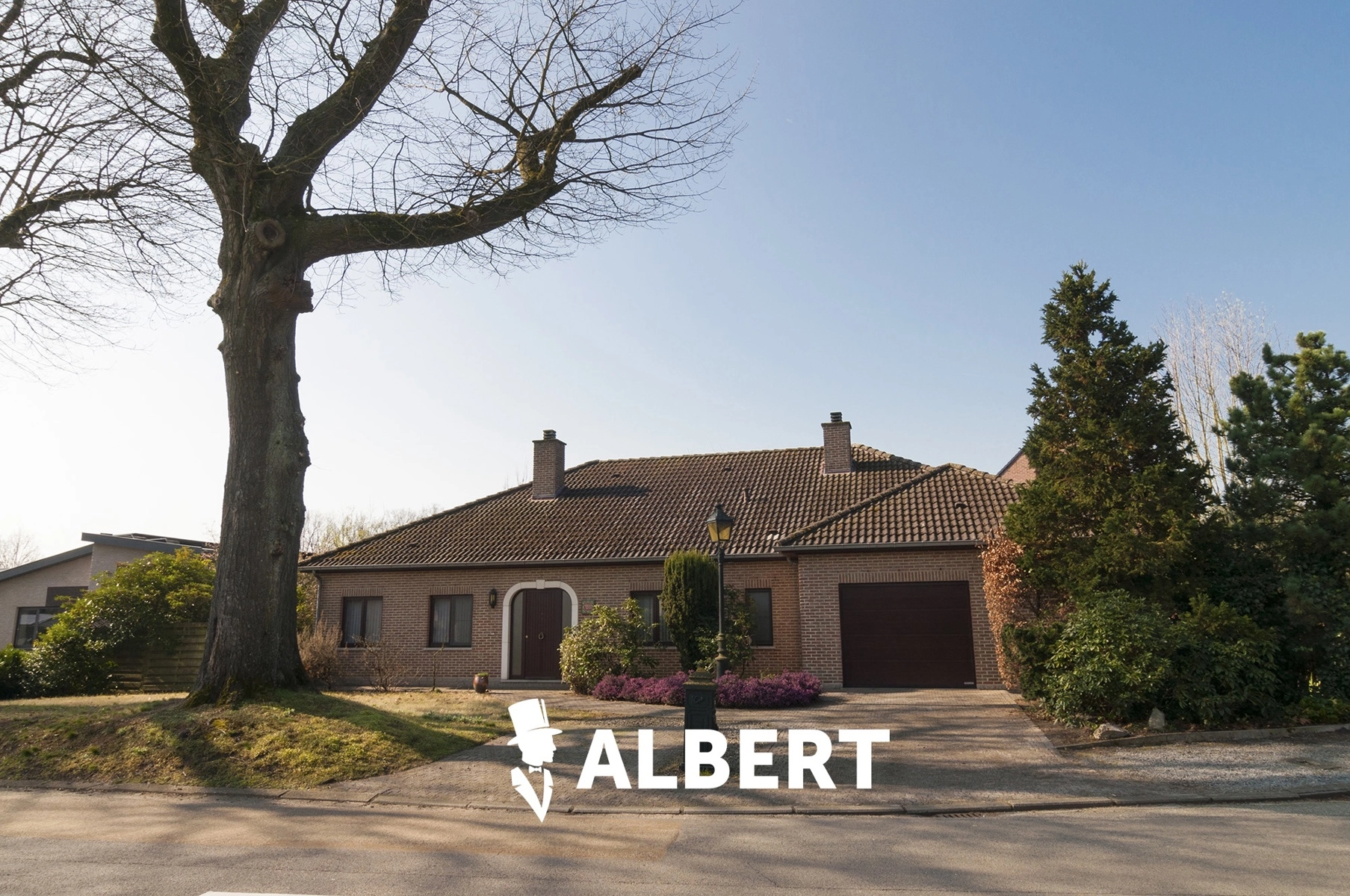 6ed1847d1e05431da4c80dd9bfbad616 photo