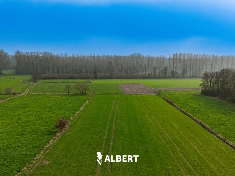 05c7b85f149345a8925e289690203cf3 thumbnail