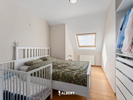 51c9d6817a804a05a5bc856c88bff51f thumbnail