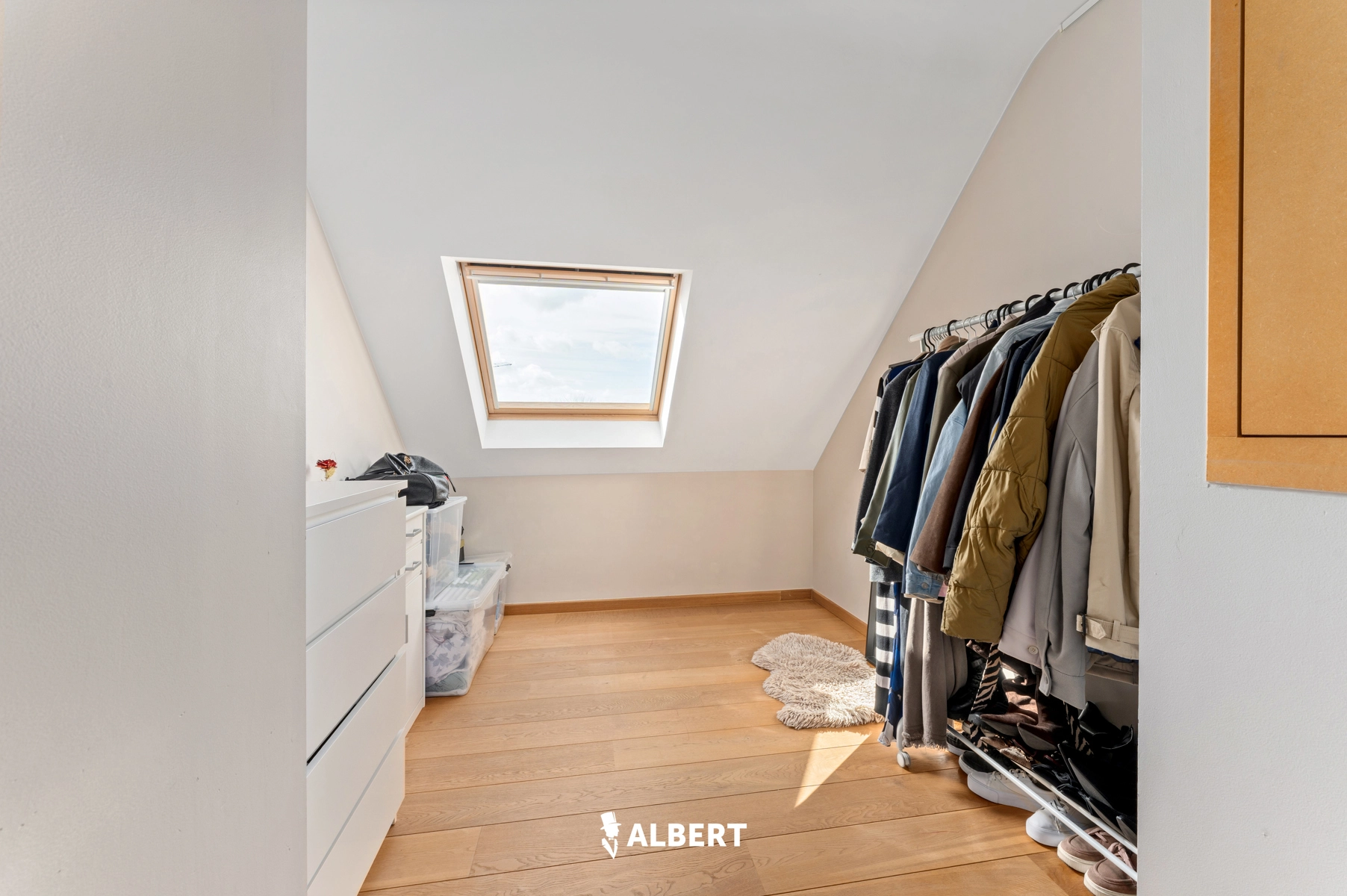 a051d32cfbed4587a24ed52df4acc66c photo