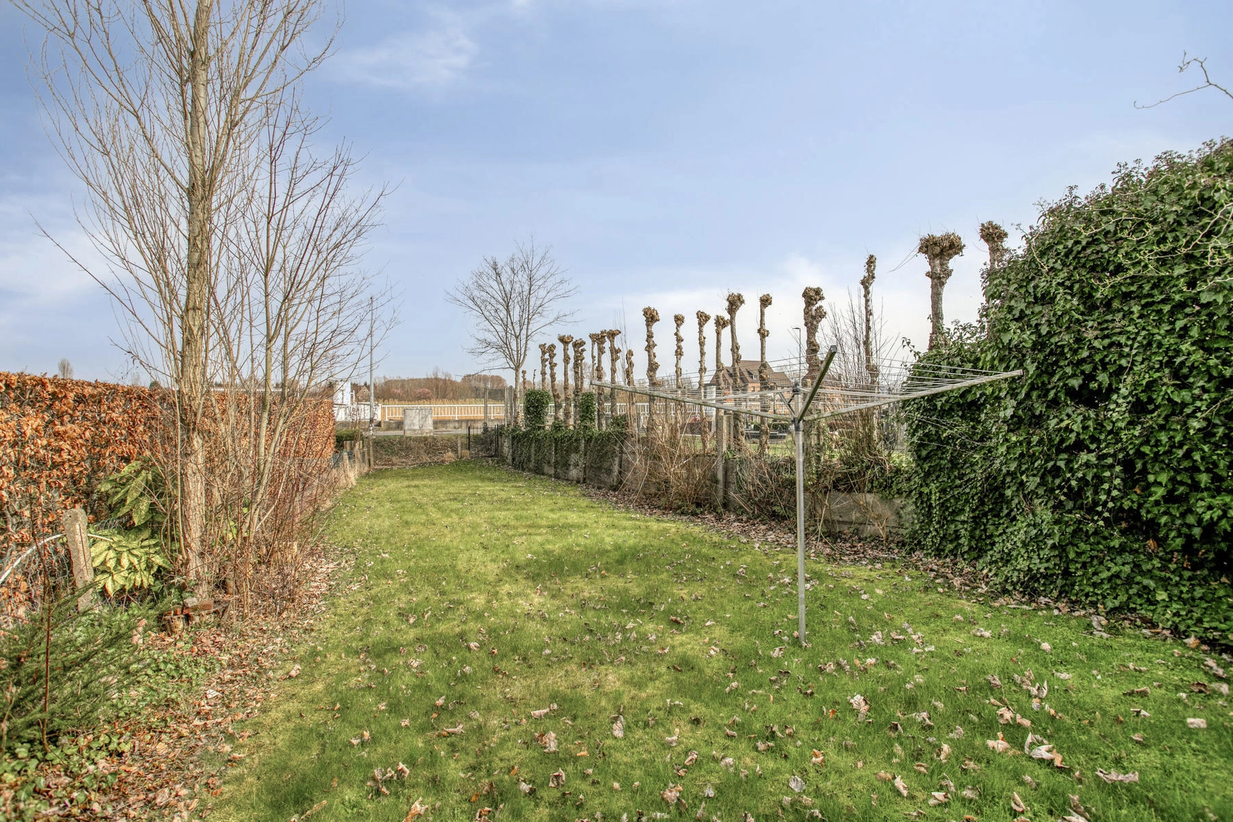 0b120e6b8fb0425a86316b6b985bccf6 photo