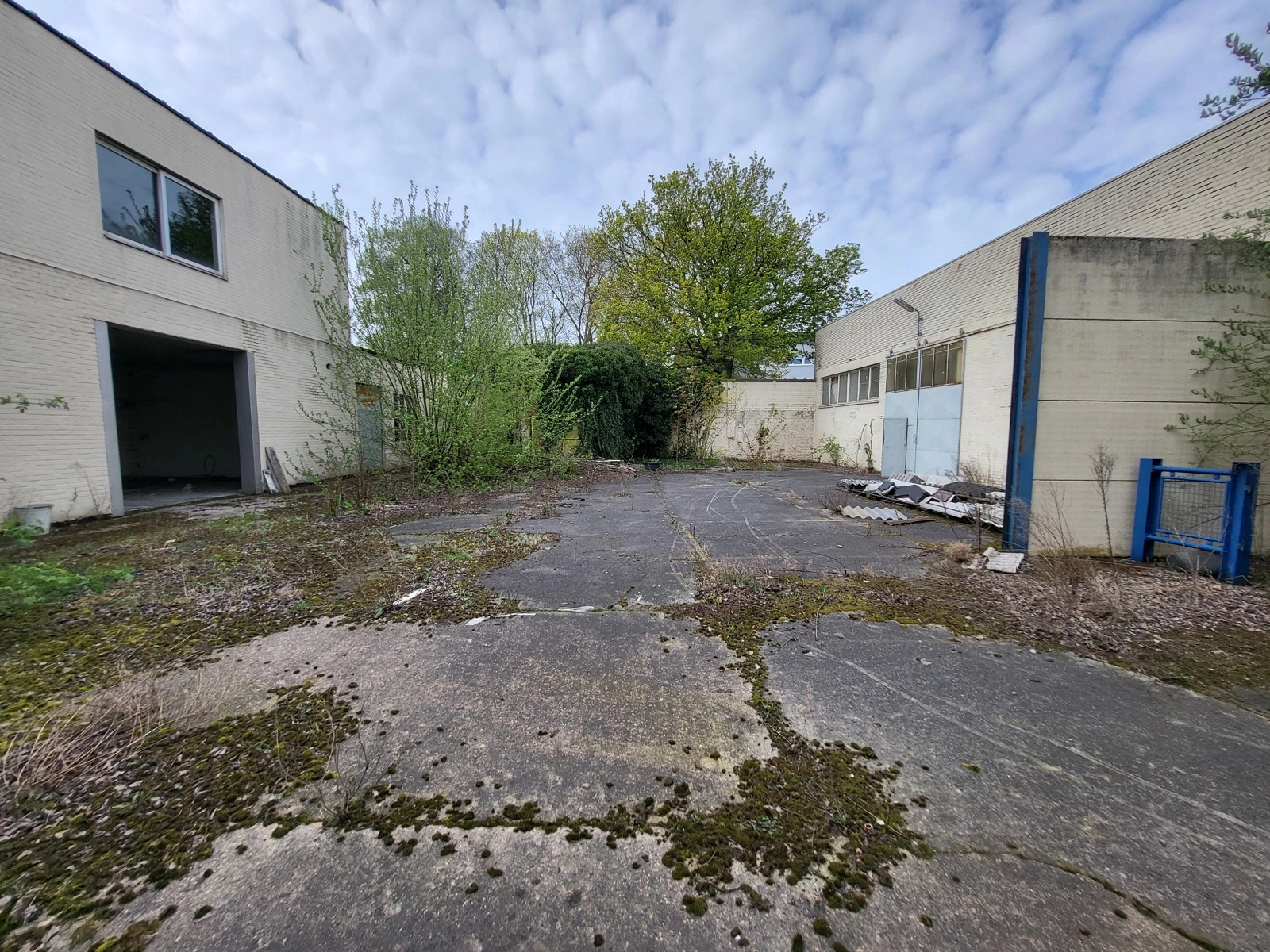 9761fe9b92914e04acda9b0a9919c916 photo