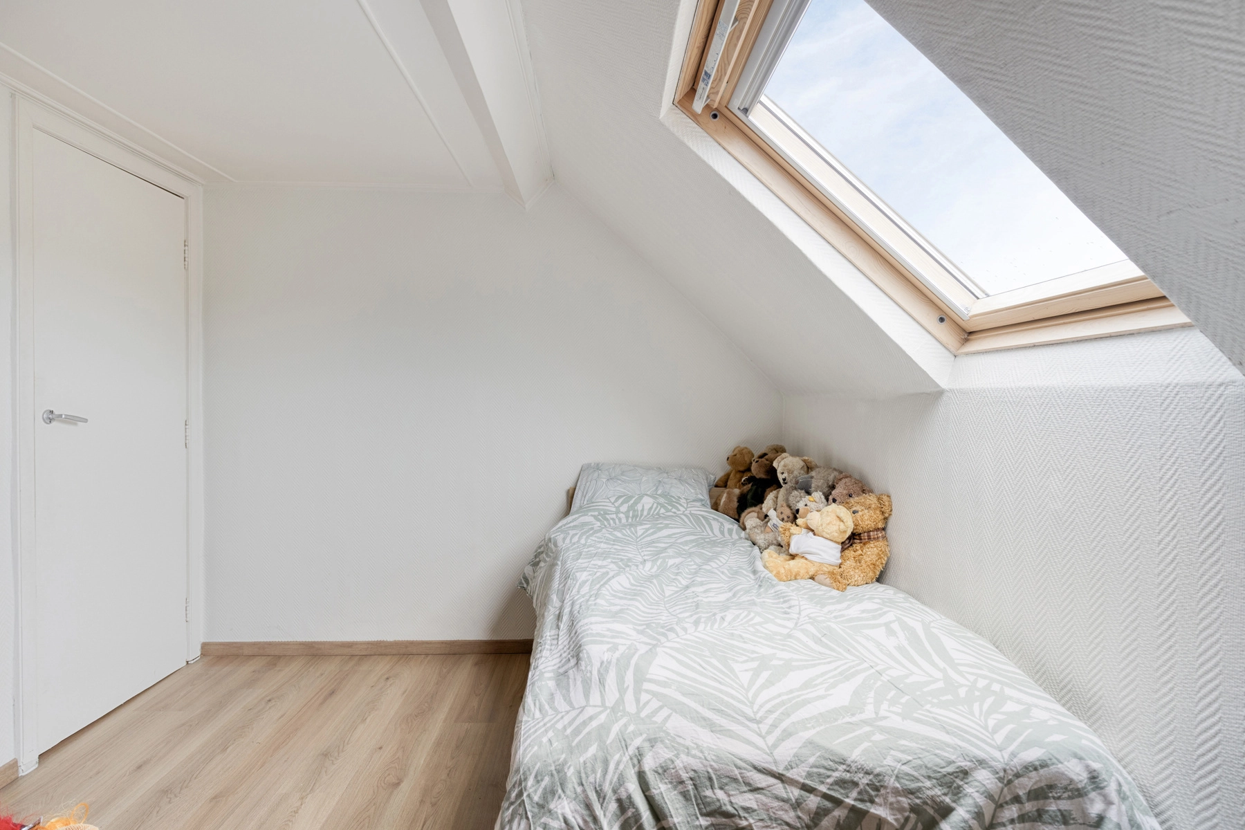 3e51bf250db649f0ab6f2d18a4c9d16f photo