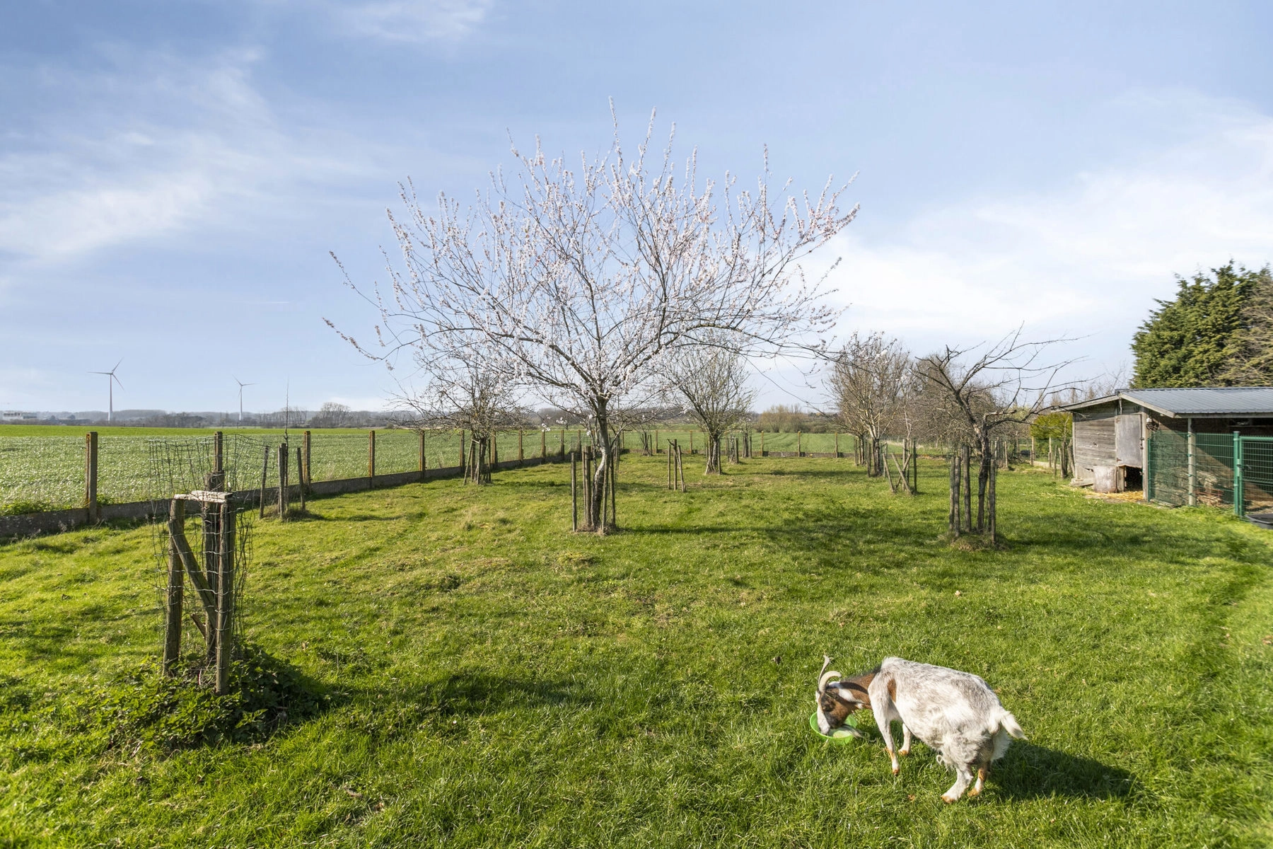 95681022b1e548eb89132ef34fe19dad photo