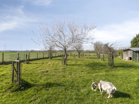 95681022b1e548eb89132ef34fe19dad thumbnail