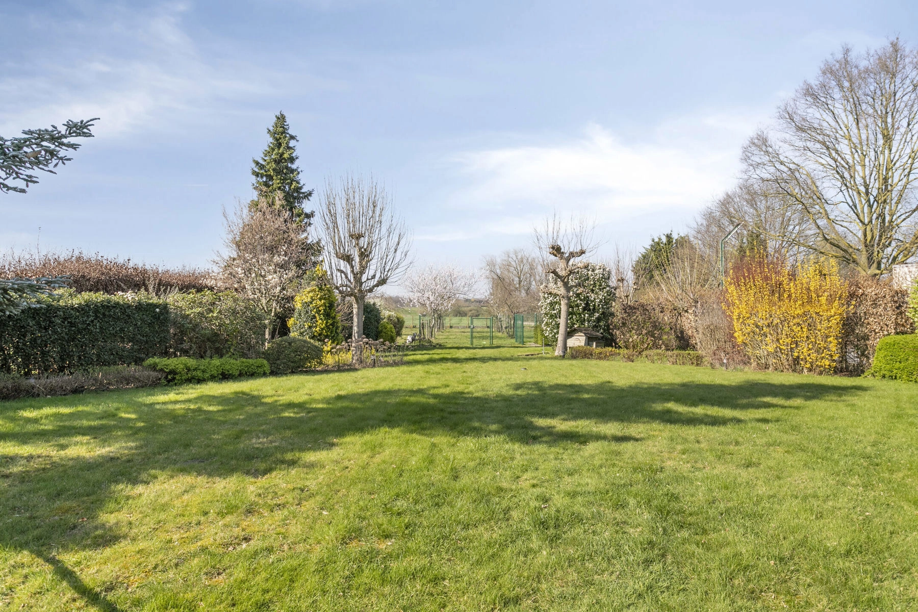 b23656233fee443c852f70bfc1d32d44 photo