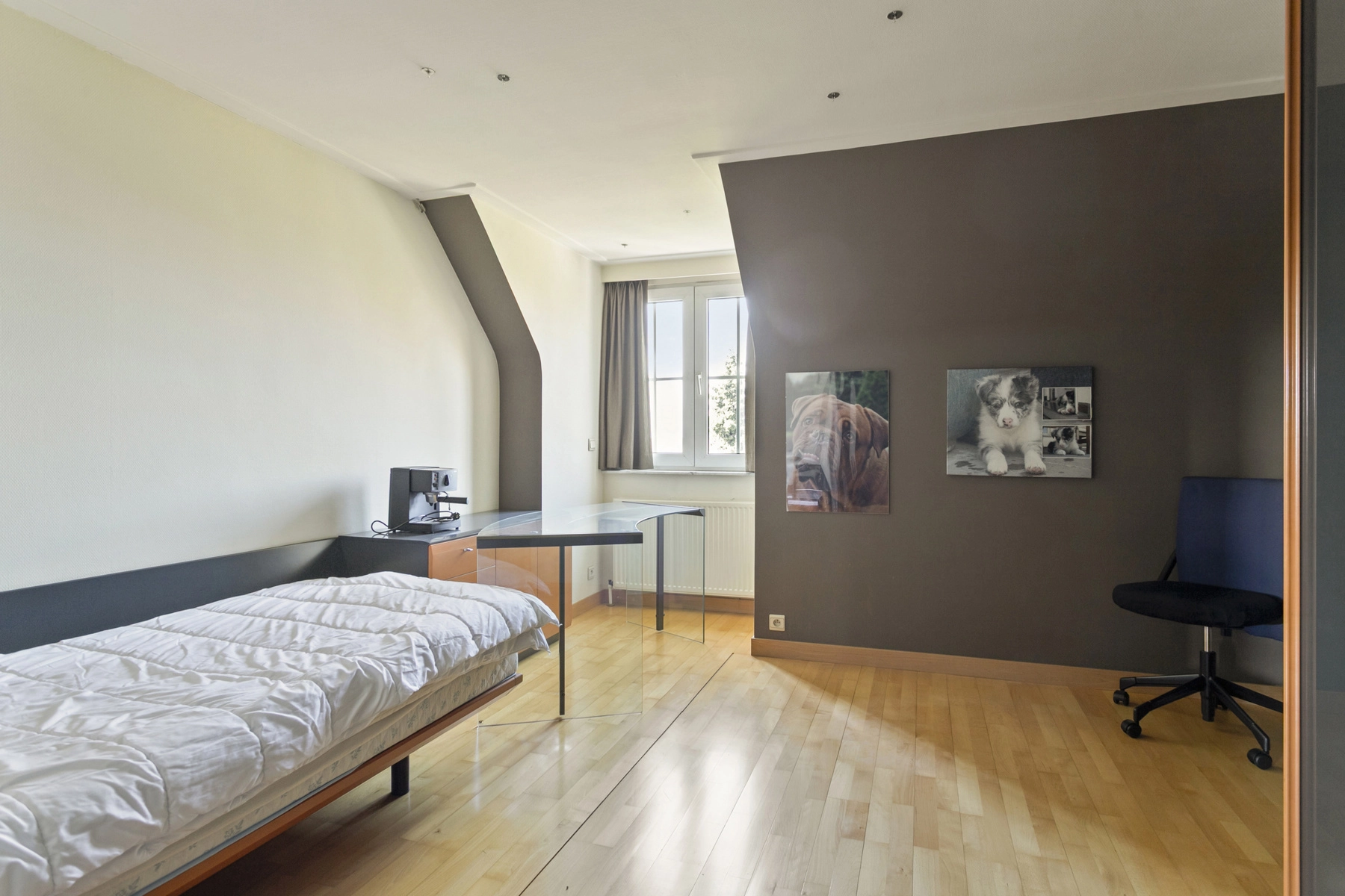 c202b4c1534f4a2ab9305fe7bf42cc8e photo