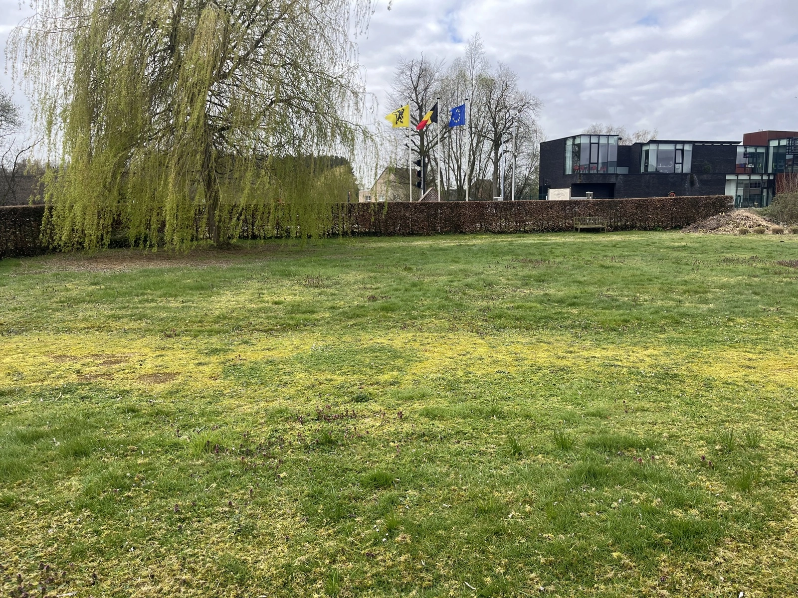 11337a8cf5ef45cf8d18d1c1c3c693d7 photo