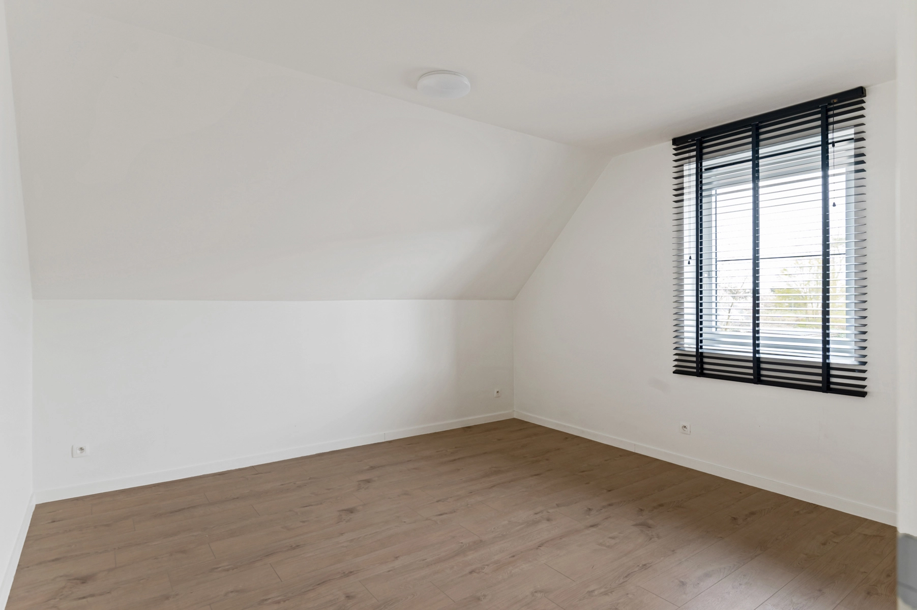 124b3bbb9bc74e5aa0aa2a8fc6986169 photo