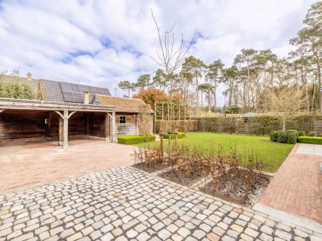 1476ef77c0fb48a8a2ba4937ba38b299 thumbnail