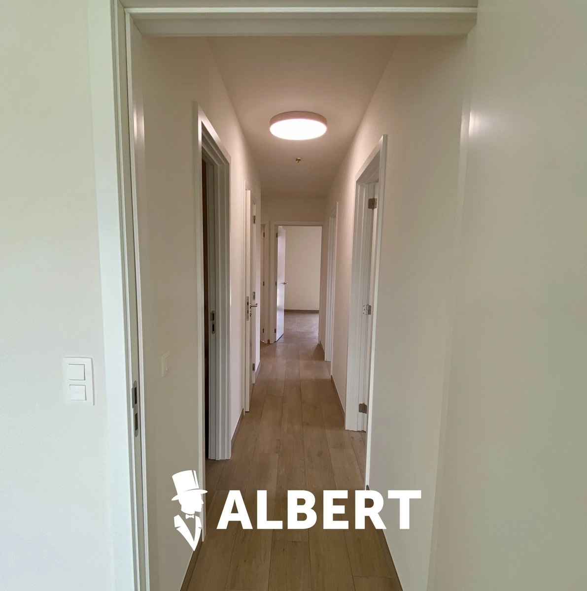 6839406fd6ca4f2ca6602c248f076b65 photo