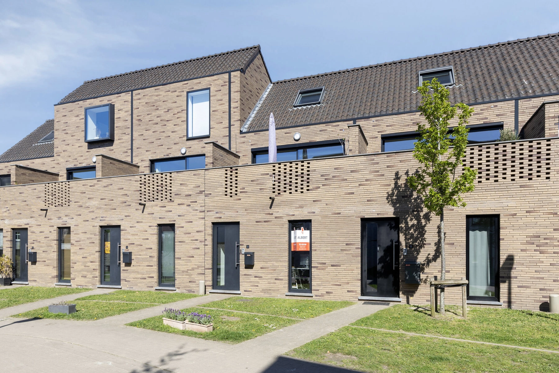 0562962536c14966a1b8f2dcf065be89 photo