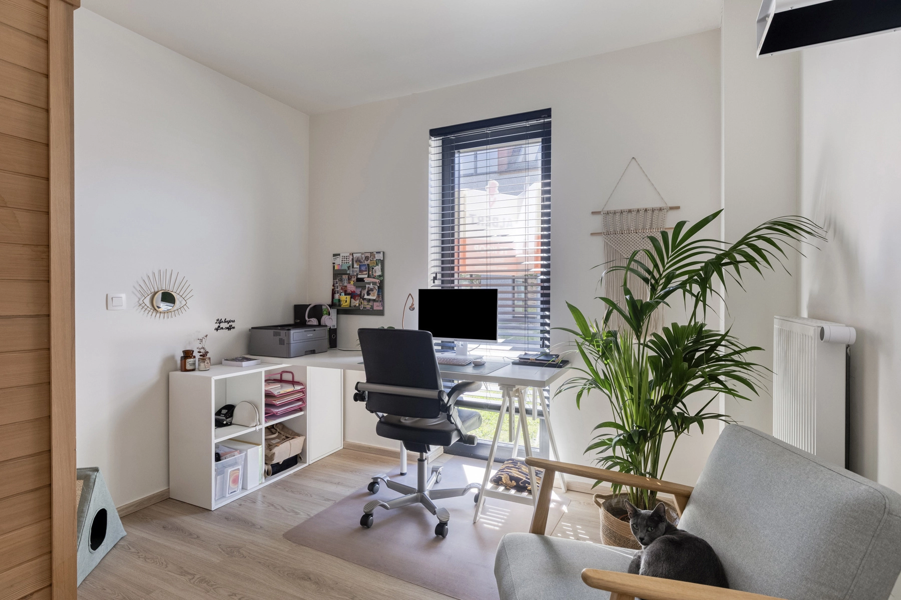 4210cc5ad6e24df5b56b78ca6909644d photo