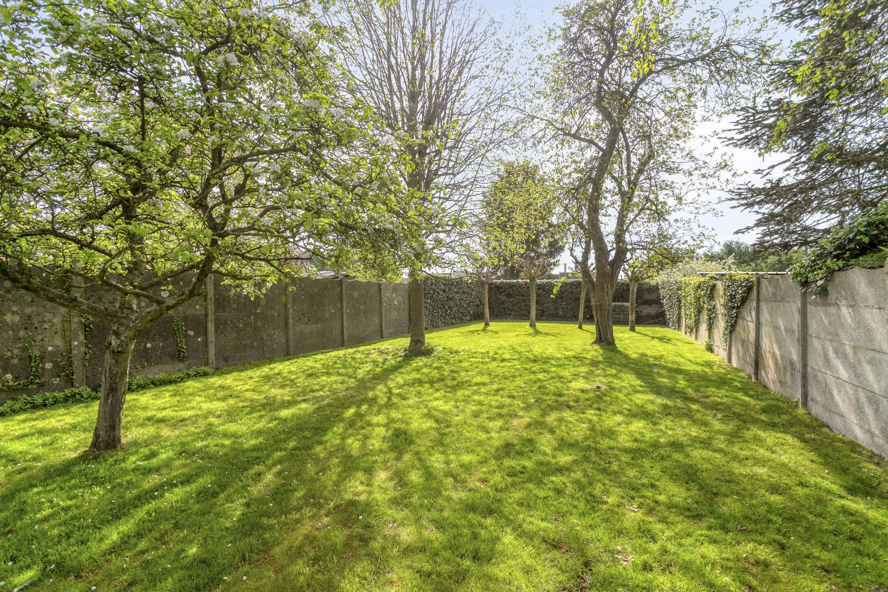 1bf4afde653040239030a2da19e1beb1 photo