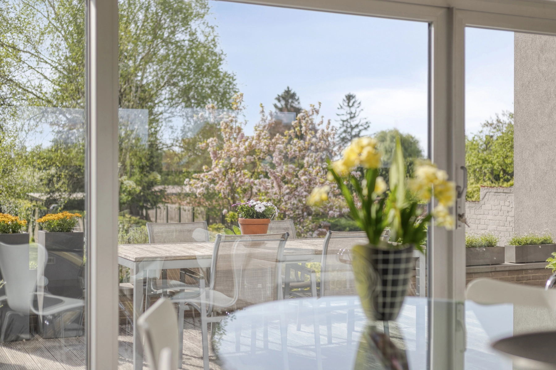 cfc71ebdc6bd4799b0a6d6c338f76097 photo