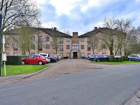 14096744baa7421390f86d8c76216e52 thumbnail