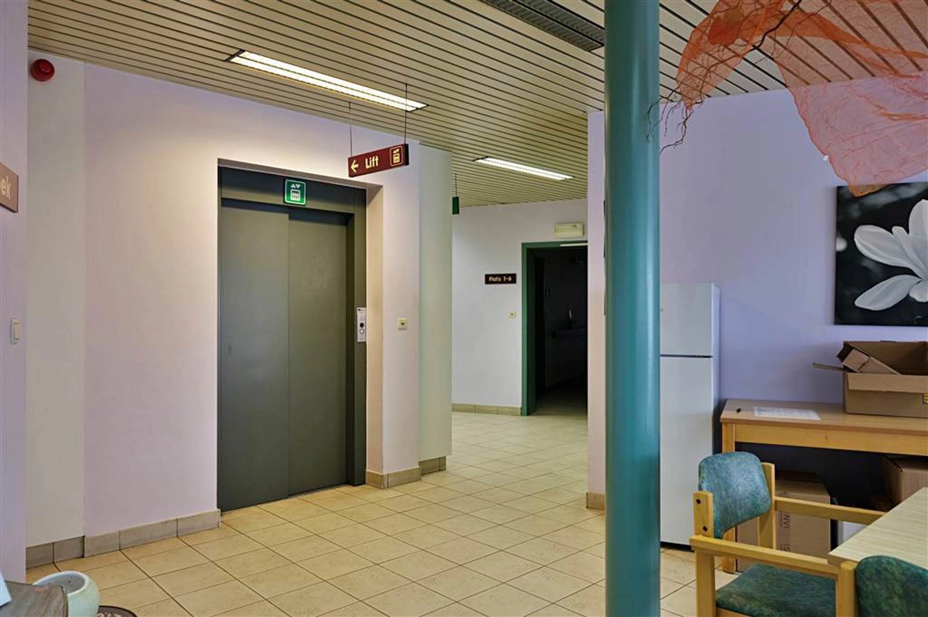 8cb8645002784fdf86f1b9afd1c254cb photo