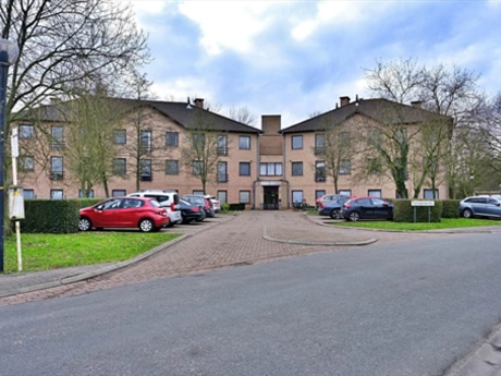 ae7ccb5f123342b6b385995299287ce6 thumbnail