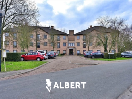 ce3bef13c8824b85887aac3f1307da5b thumbnail