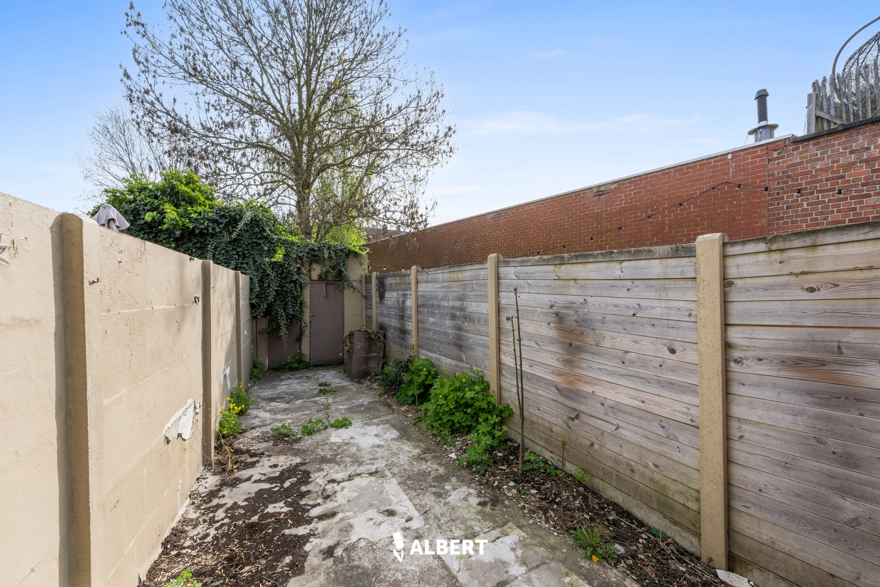 1ad667e23ce14374a02c8b33b98768cc photo