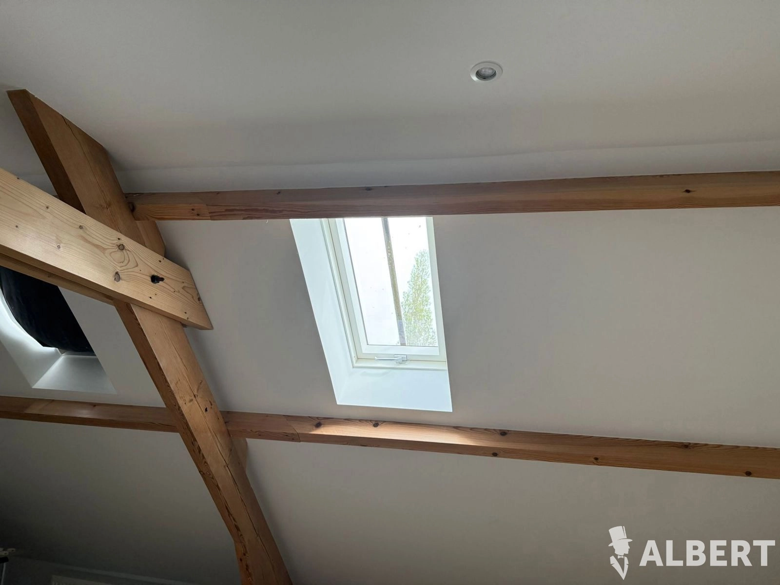 97d5b8faa59d4e9881c5c6c1512f6f23 photo