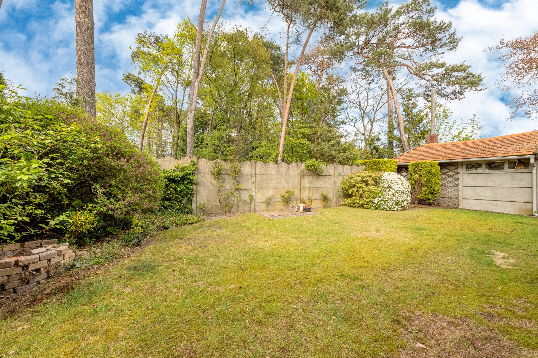 153138e7978548b1bd72d9a06ae9bd09 photo