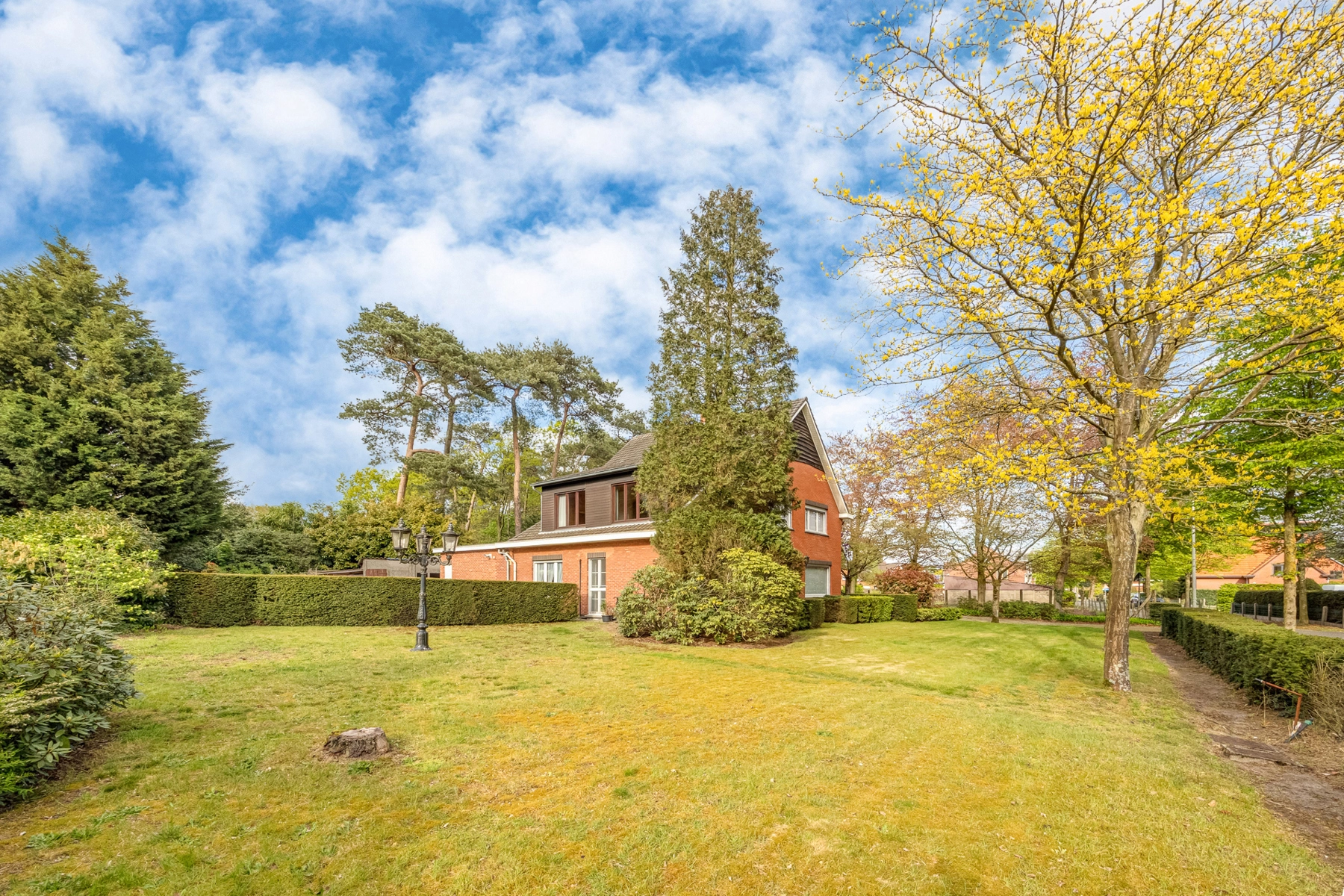 766d56cd27e5489e873339a97d647733 photo