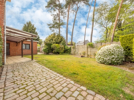 b3a0ecc8c4144fe1a8fb670ecb8b356d thumbnail