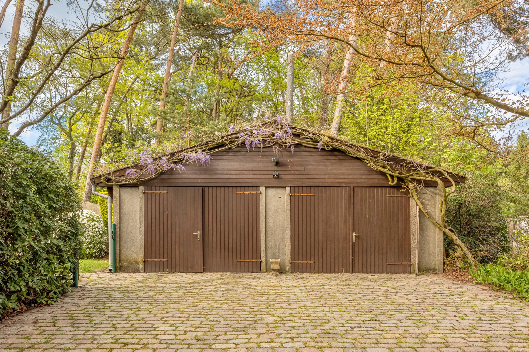 d1a150f361ac40f1921cc5ac742570a4 photo