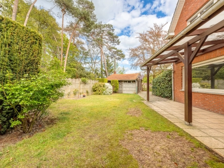 e3cddc6f442945e48b62e991b54ddc96 thumbnail