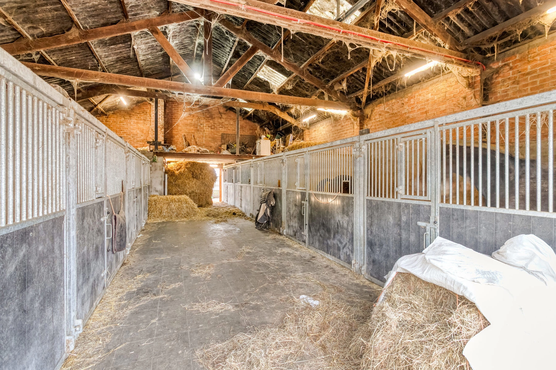 998607773a7d417bae32f5df148c77ff photo