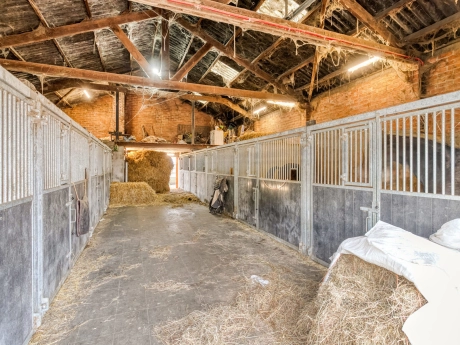 998607773a7d417bae32f5df148c77ff thumbnail