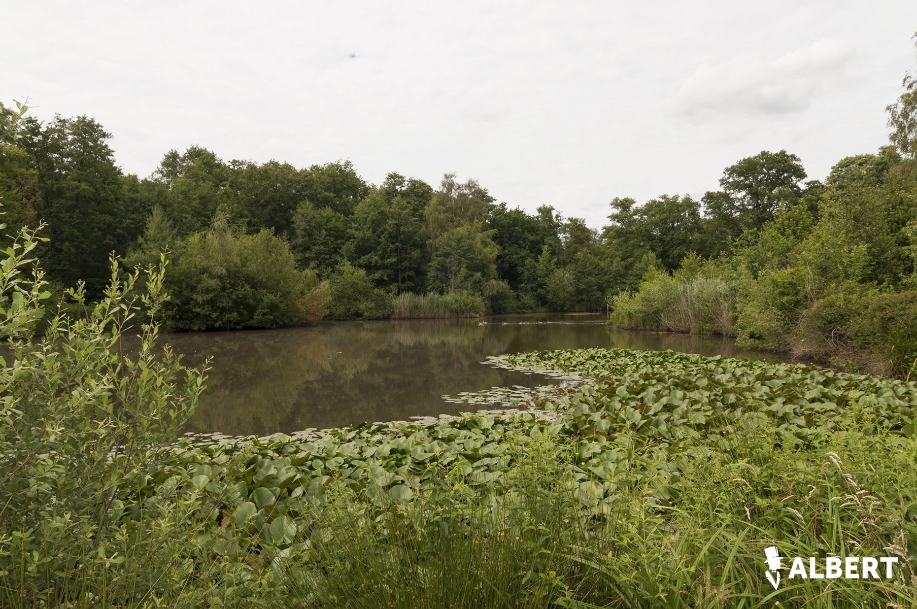 29a76e38491b45539516127922820c43 photo