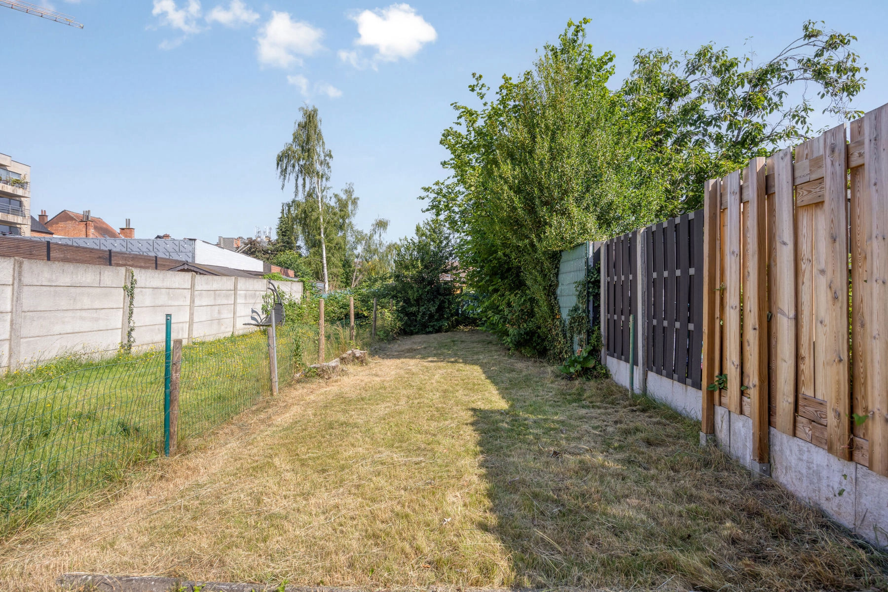 5cef0687e88742a68a96ac7be95a1009 photo